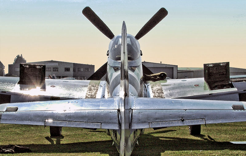 Supply Consulting Remo Stocker